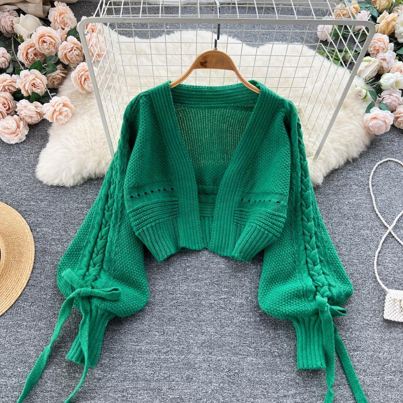 Embroidery Online - Grün Casual Acryl Stricken V-ausschnitt Laterne